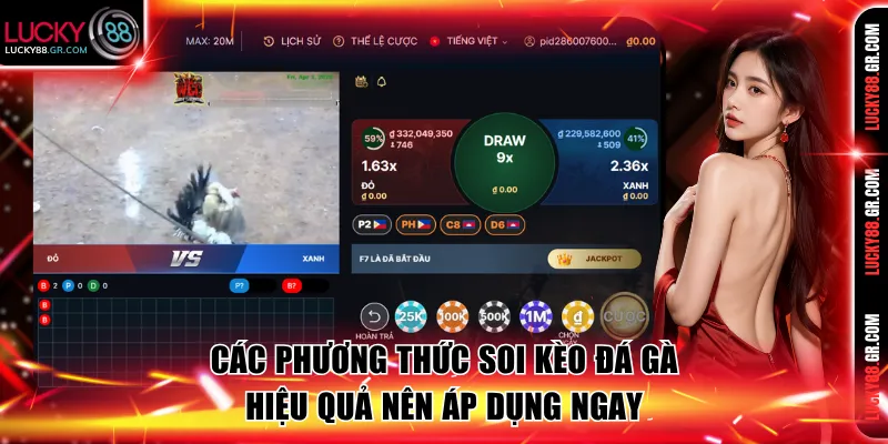 Các phương thức soi kèo đá gà hiệu quả nên áp dụng ngay