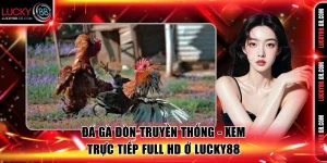 Đá gà đòn truyền thống