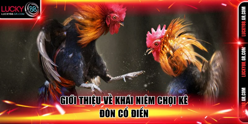 Giới thiệu về khái niệm chọi kê đòn cổ điển